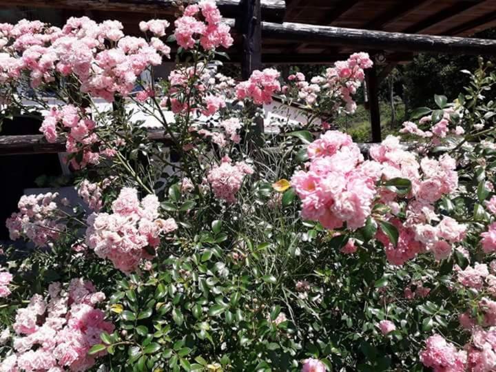 Il Casalino Bed & Breakfast Pianoro Exterior photo